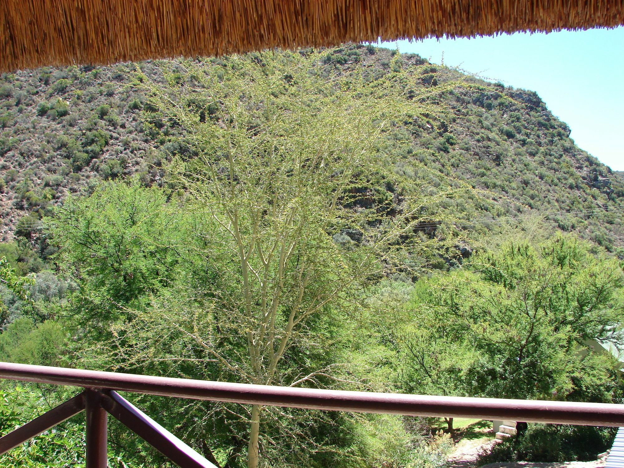 De Poort Country Lodge Оудсхорн Екстериор снимка